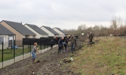 Plantations Cavalier   024